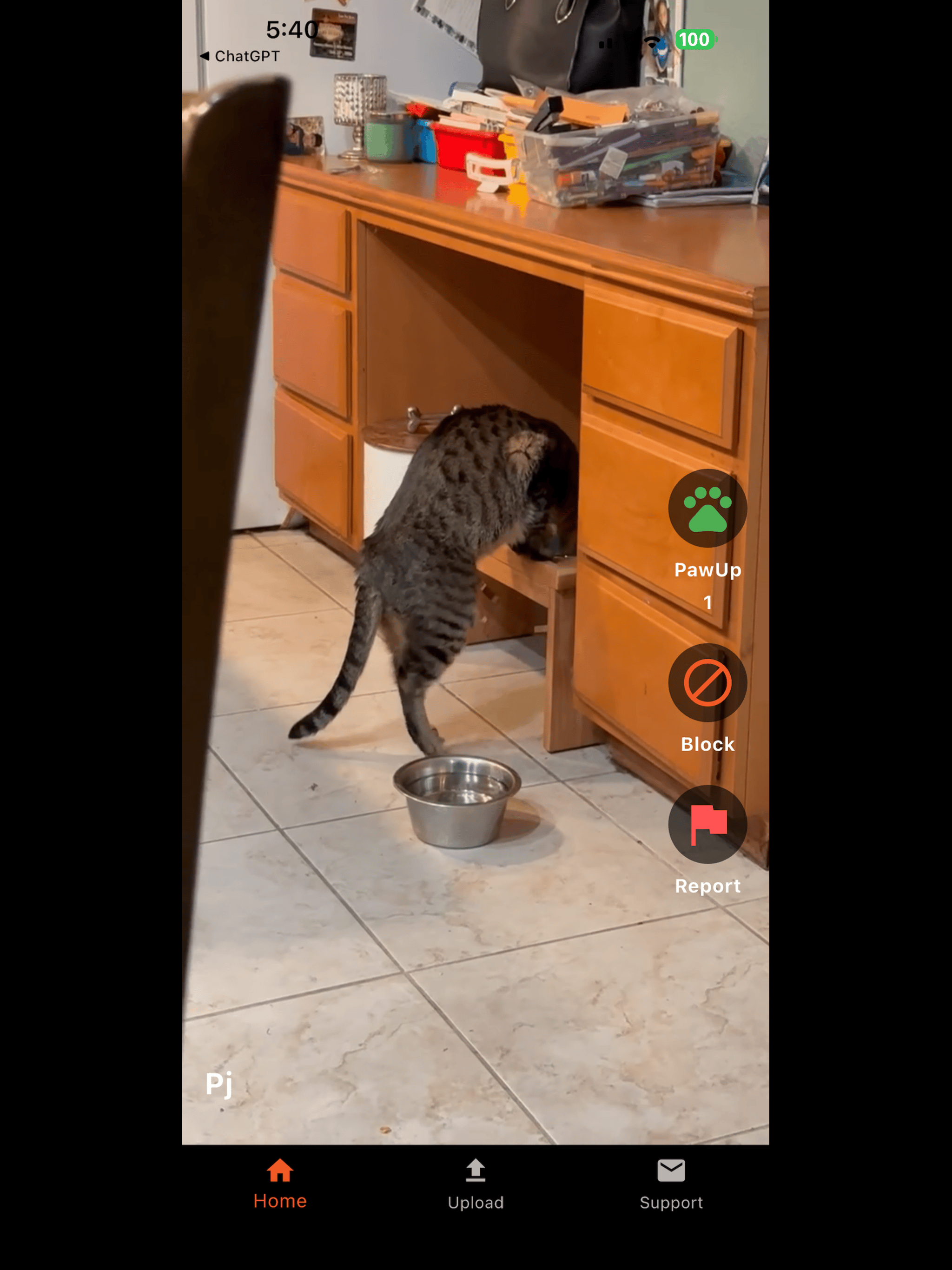 PawUpApp screenshot 7
