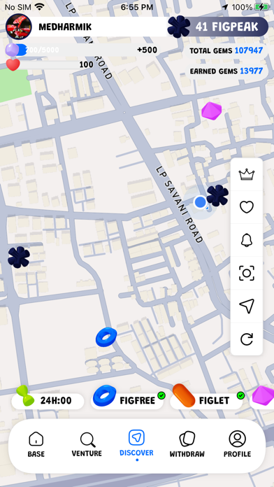 Figrun Screenshot