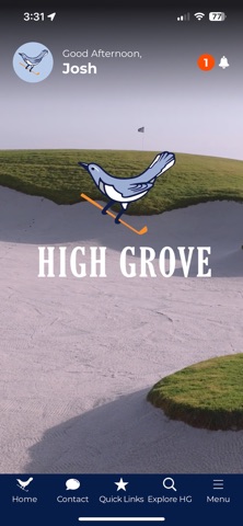 High Grove screenshot