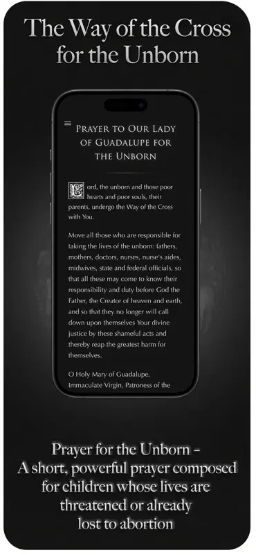 Stations For The Unborn screenshot 7 of 10