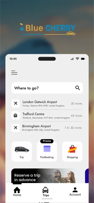 Blue Cherry Taxi screenshot 4