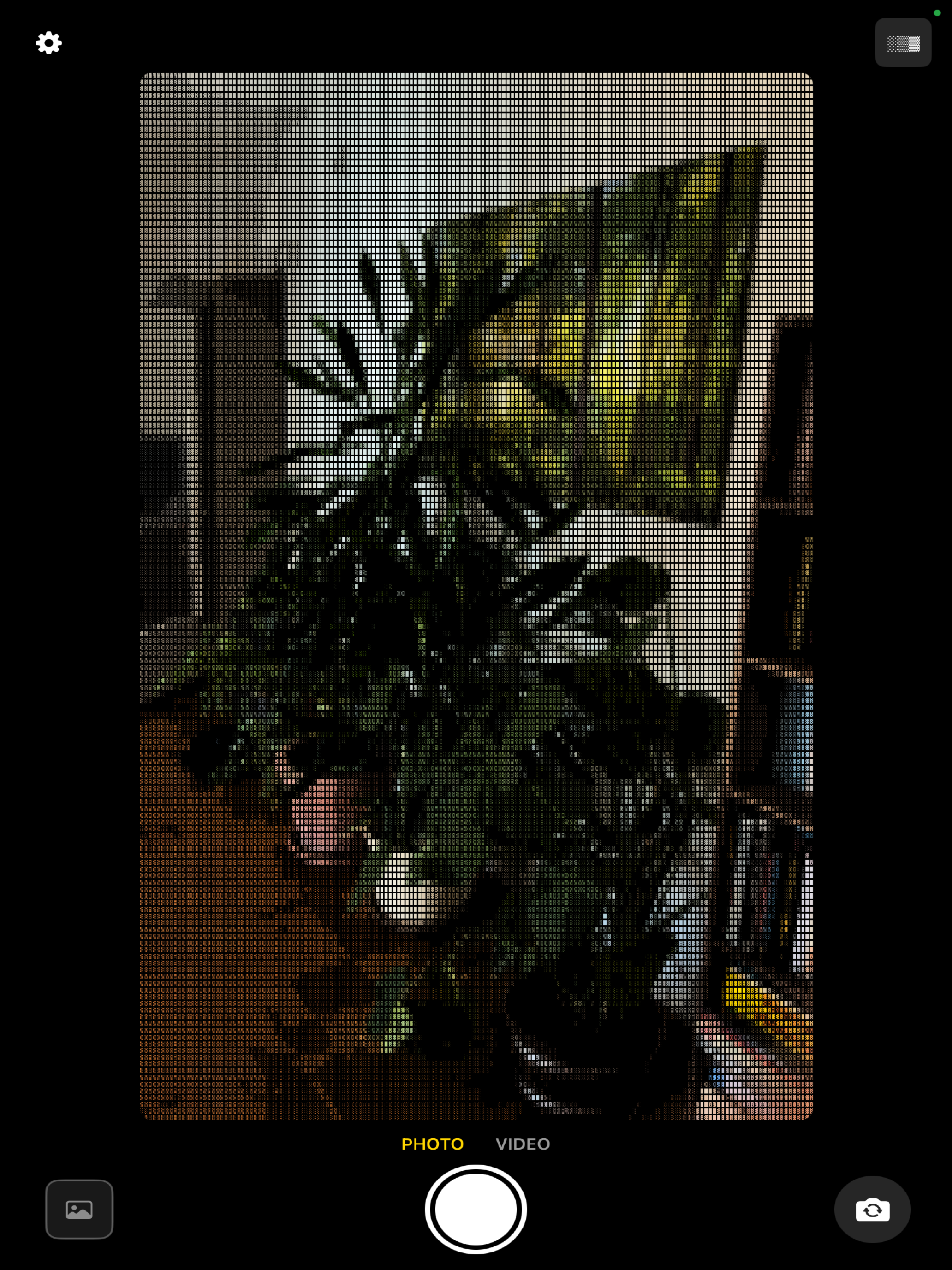 GT ASCII Camera