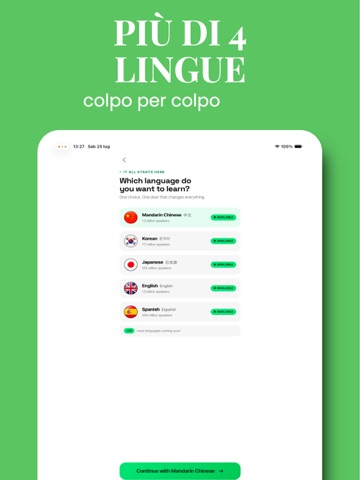 PandaCoco - Tutor AI iPad screenshot 5