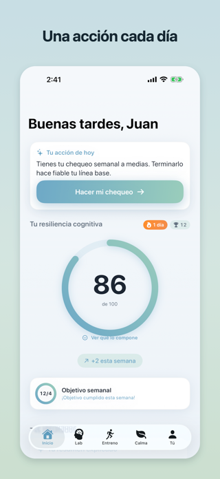 MindSentinel Screenshot 1