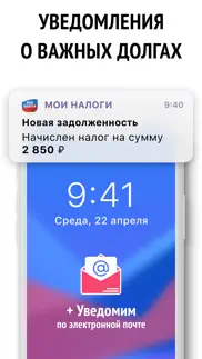 Мои налоги ФЛ, ИП - налог РФ айфон картинки 3