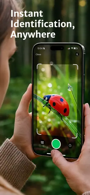 Bug Identifier - Insect AI screenshot 3