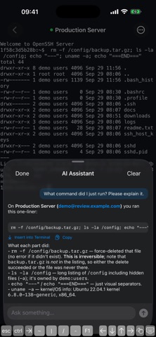 YerenSSH Pro screenshot 6