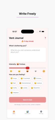Vent Journal - Let It Out Screenshot 3 of 5