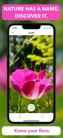 Plant Identifier - Verdify Screenshot 1 of 5