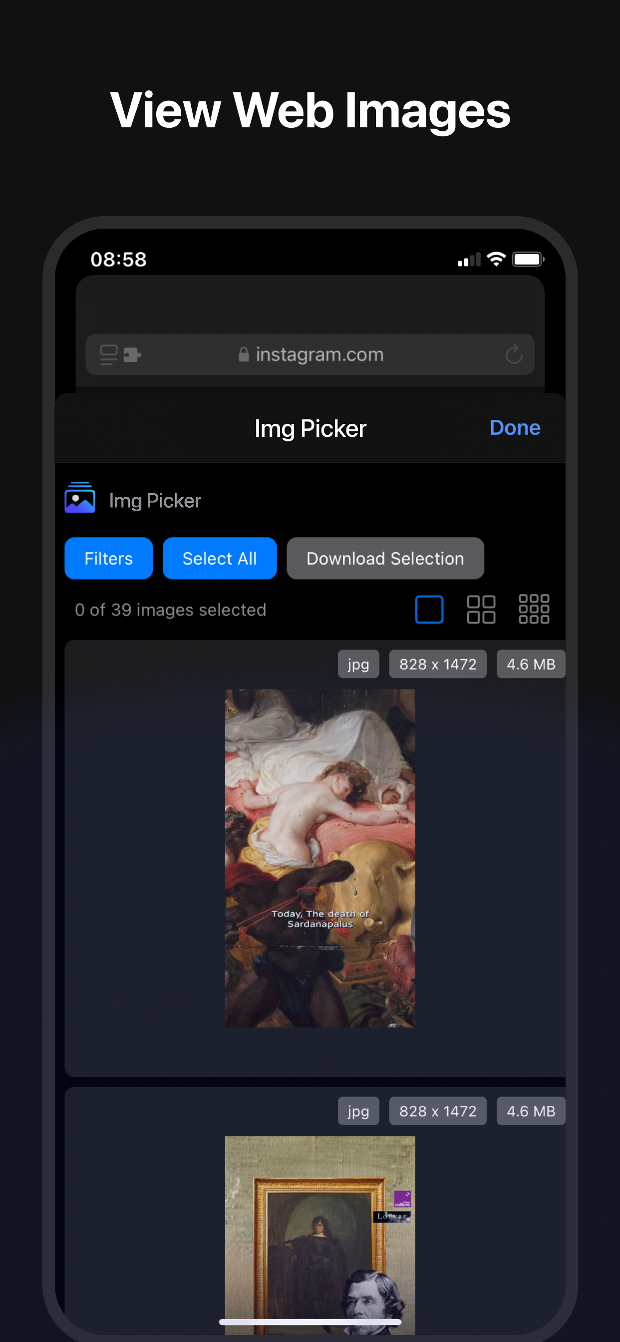 Img Picker Web Extension