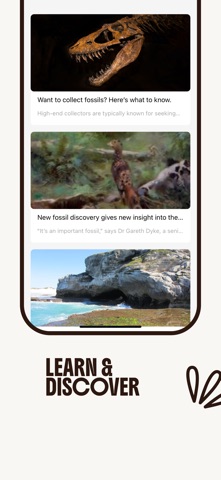 Fossil Identifier: AI Scanner Screenshot 5 of 5