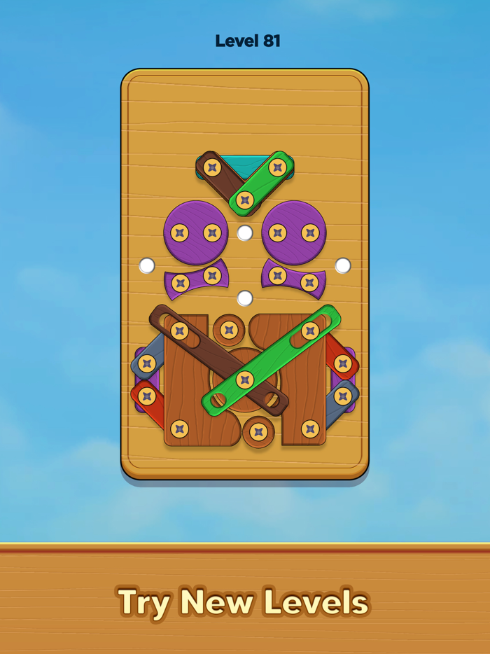 Nuts and Woods Screw Puzzle