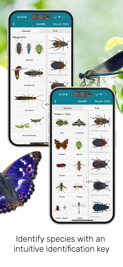 ID UK insects - Reference App | MWM