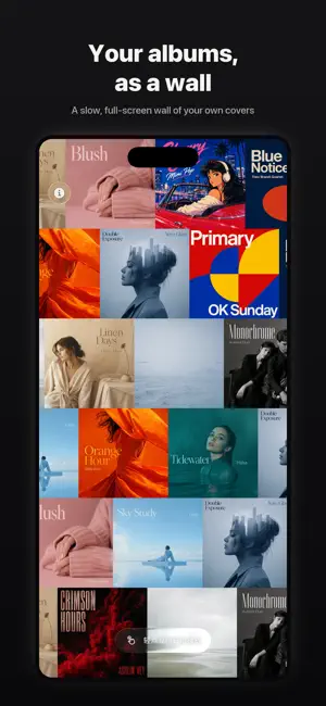 Sleeve: Album Wall Player iPhone screenshot 1
