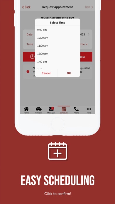 Strother Brothers Auto Care Screenshot