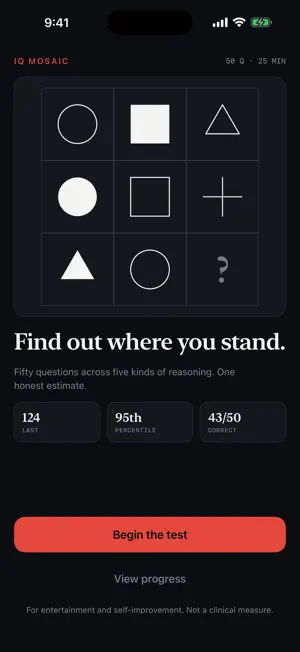 IQ Mosaic screenshot 1