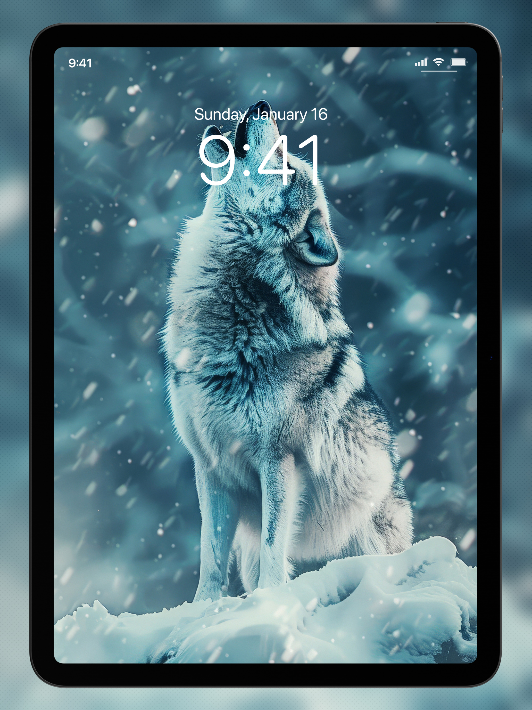 Wolf Wallpapers 4K