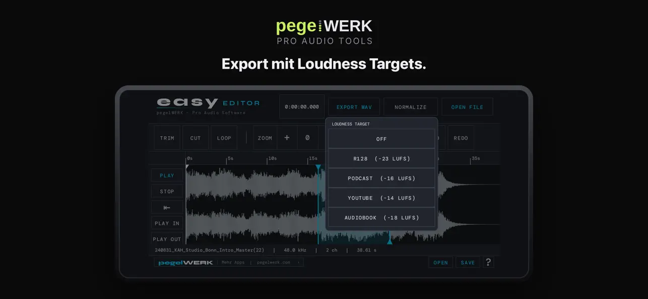 Screenshot #3 pour easy EDITOR · Audio Editor