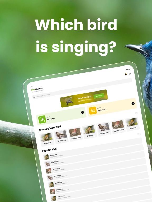 Screenshot #4 pour Bird ID: Bird call identifier