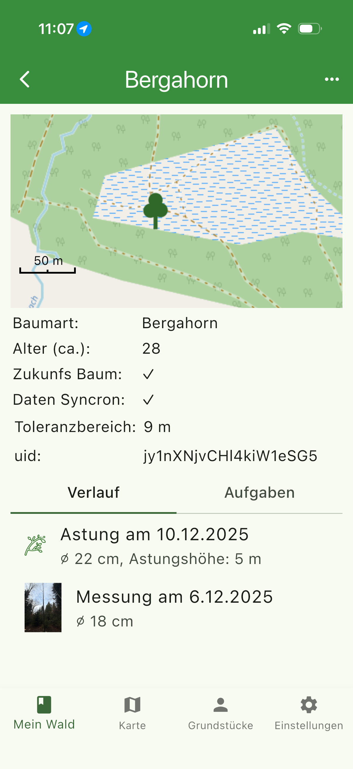Mein Wald
