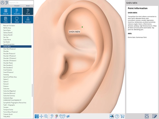 Auriculo 360 - The Living Ear iPad screenshot 7 - Medical app