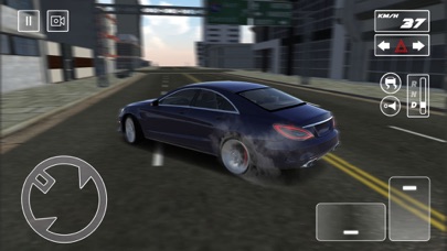 Critical Car Driving Screenshot