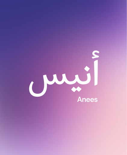 Anees AI screenshot 6