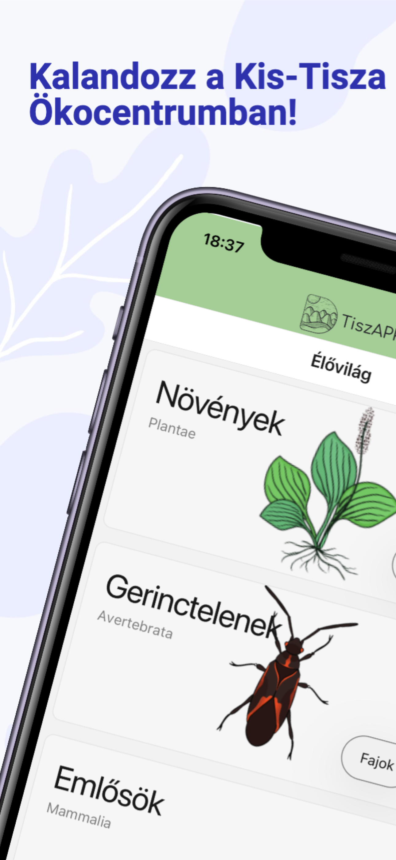 KisTiszAPP