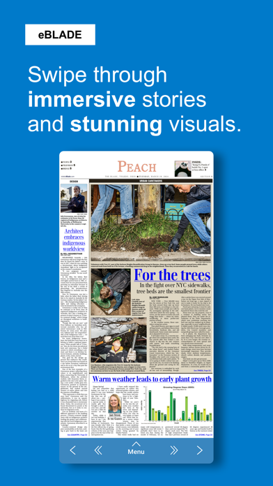 THE BLADE iPhone screenshot 2 - News app