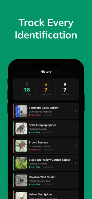 Spider Species Identifier screenshot 4