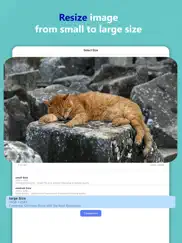 reduce photo size айпад изображения 3