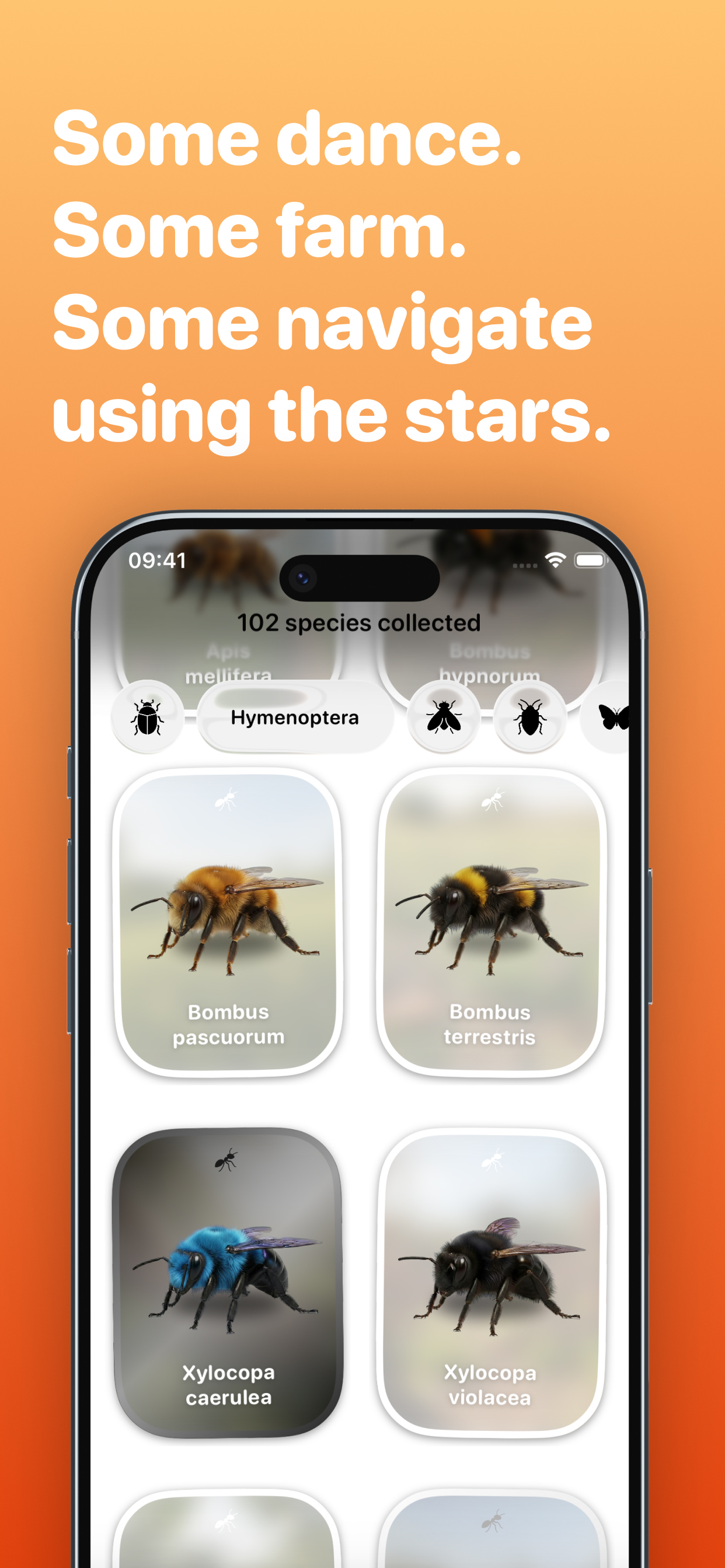 Bugsy – Insect Collection Quiz screenshot 2