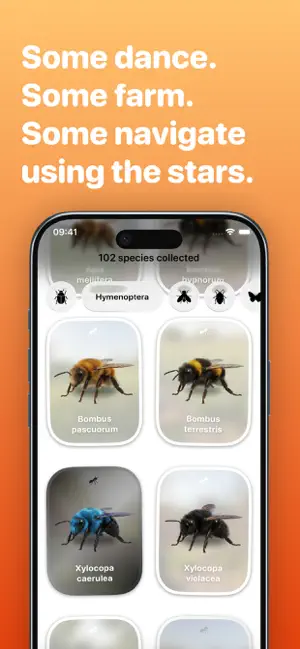 Bugsy – Insect Collection Quiz screenshot 2