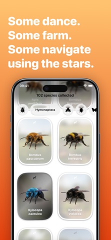 Bugsy – Insect Collection Quiz screenshot
