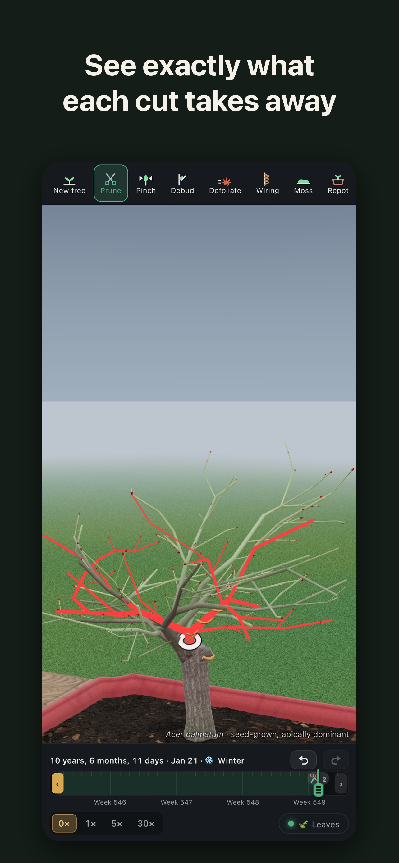 Screenshot 4 of BonsaiSim: Bonsai Simulator