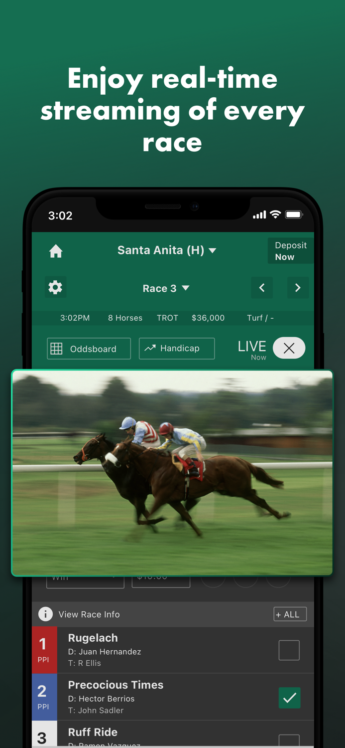 bet365 Racing