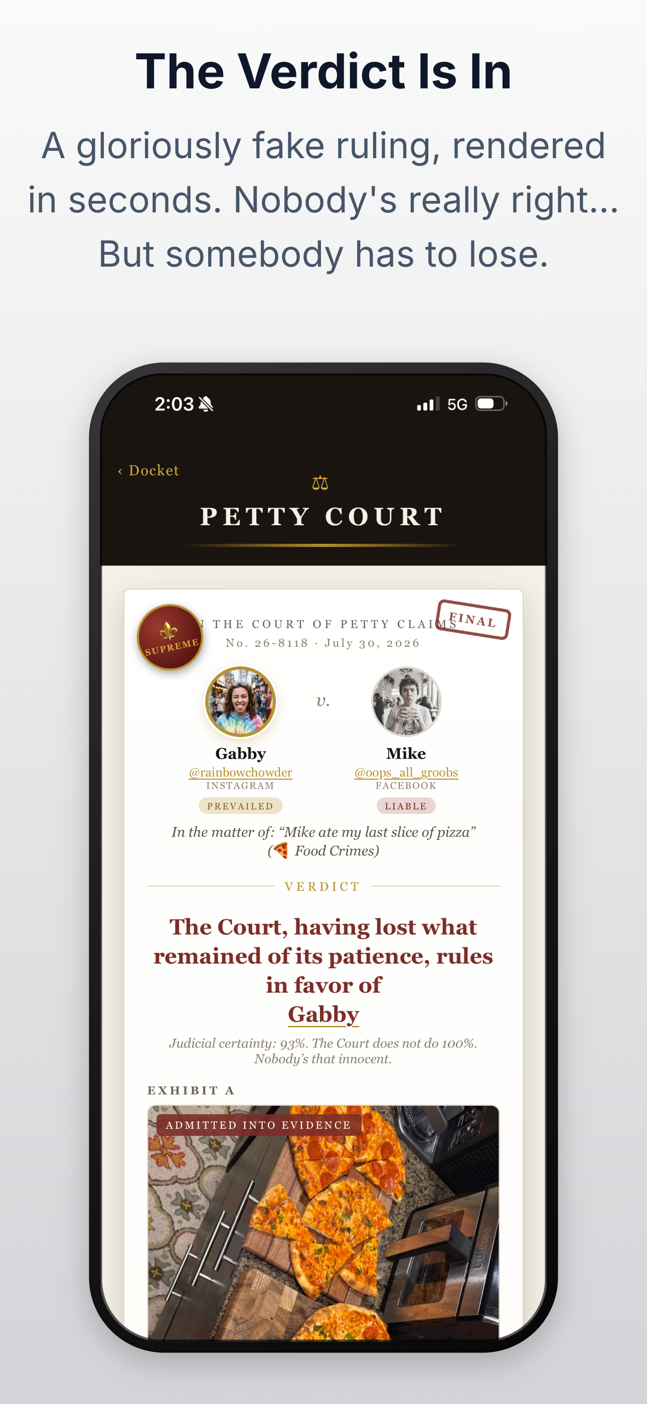 Petty Court — File a Case screenshot 3