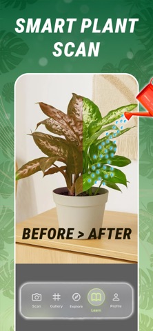 Plant Identifier & Benefits Screenshot 3 of 7