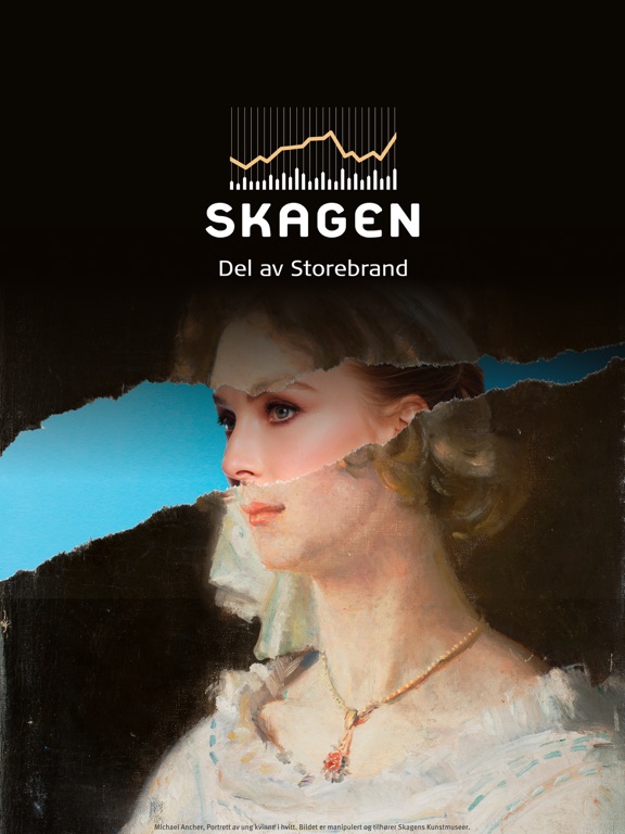 Screenshot #4 pour SKAGEN