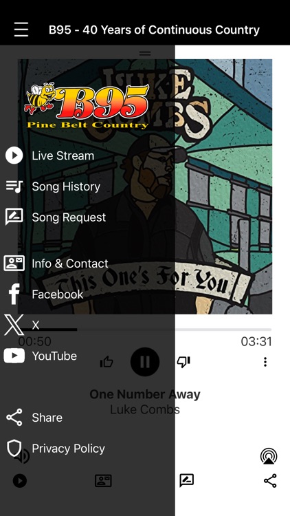 B95 Pine Belt Country