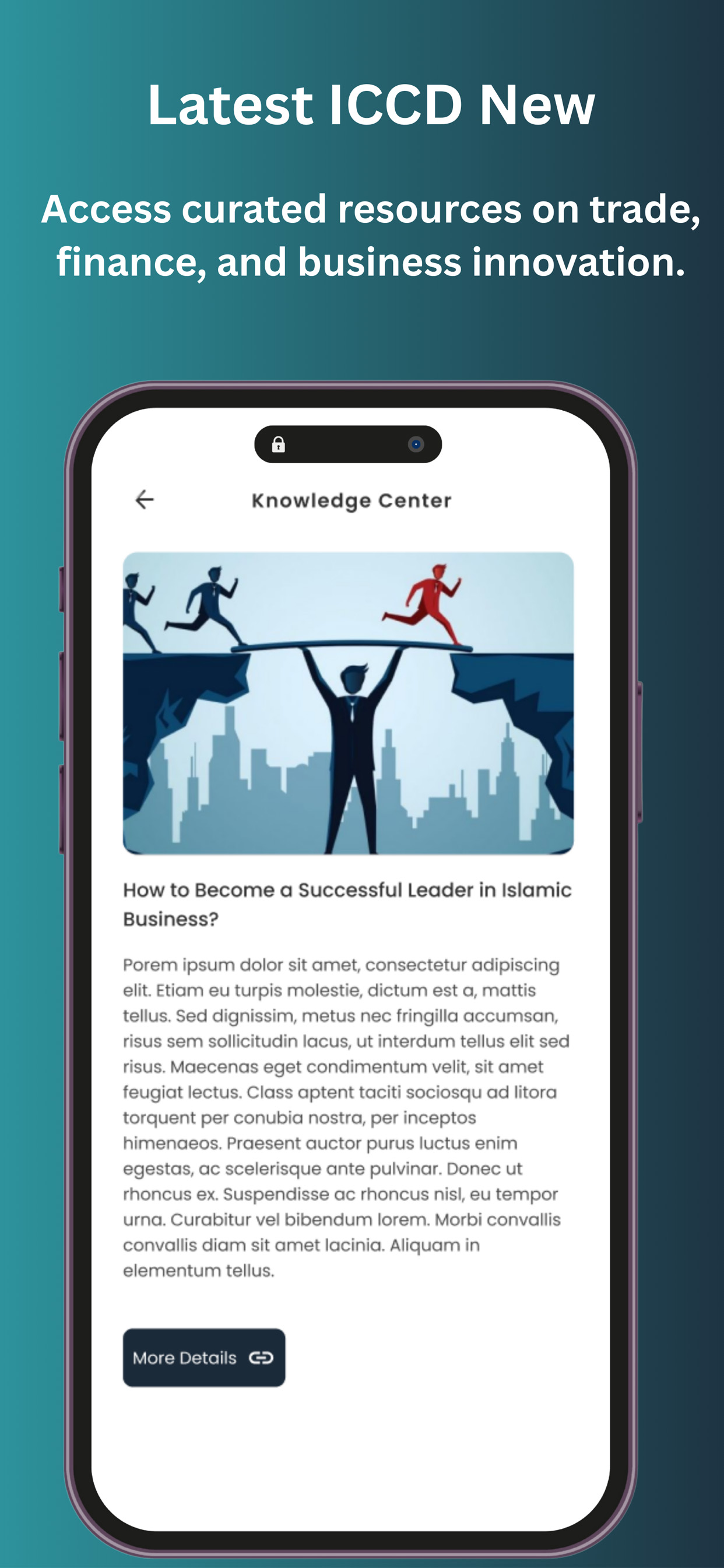 ICCD Hub screenshot 6