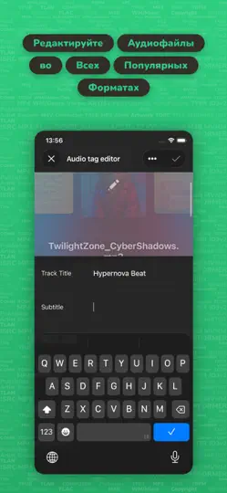 Скриншот Evertag: редактор аудио тегов на iPhone 6