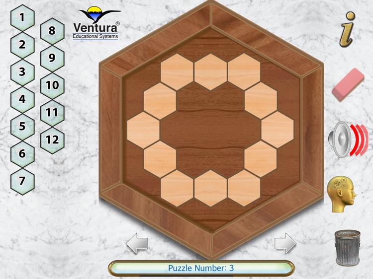 Hexagon Puzzles