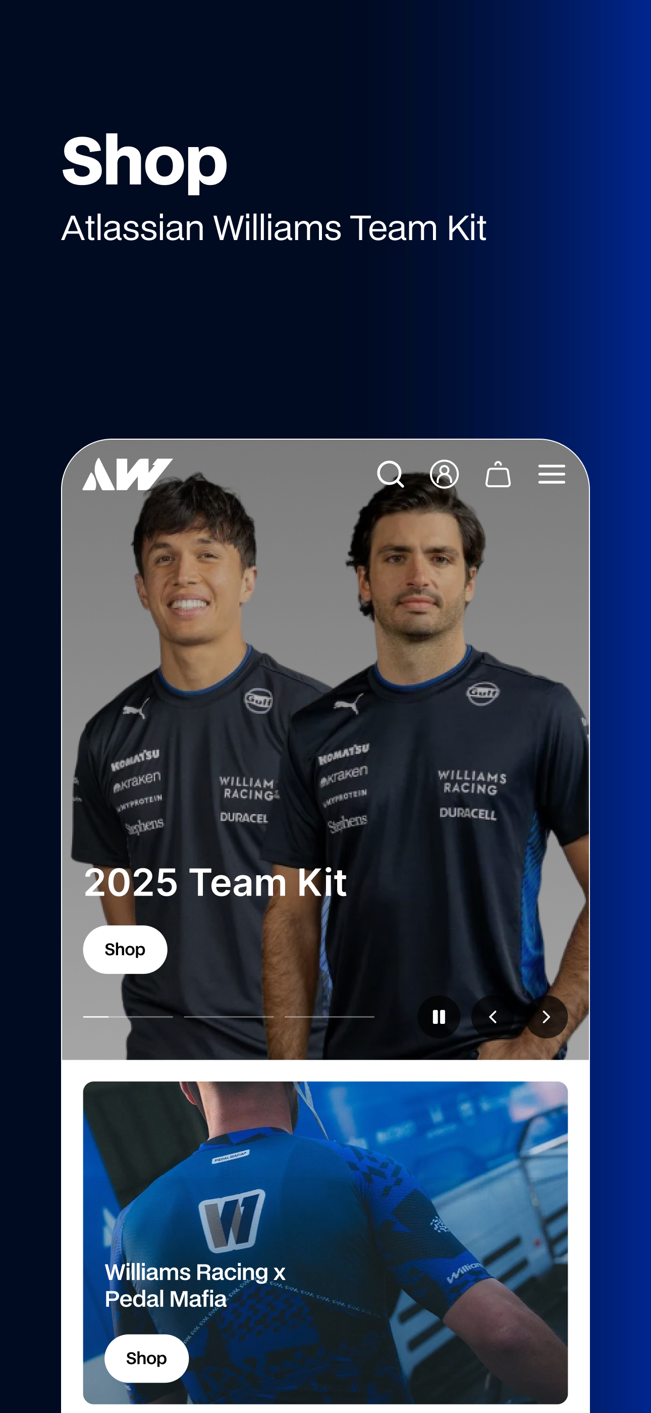 Williams F1 Team