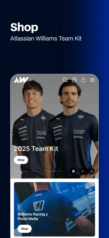 Williams F1 Team screenshot 5 of 5