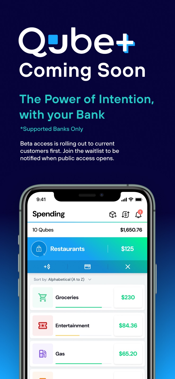 Qube Money: Envelope Budgeting iphone screenshot 1