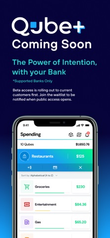 Qube Money: Envelope Budgeting — App Store screenshot