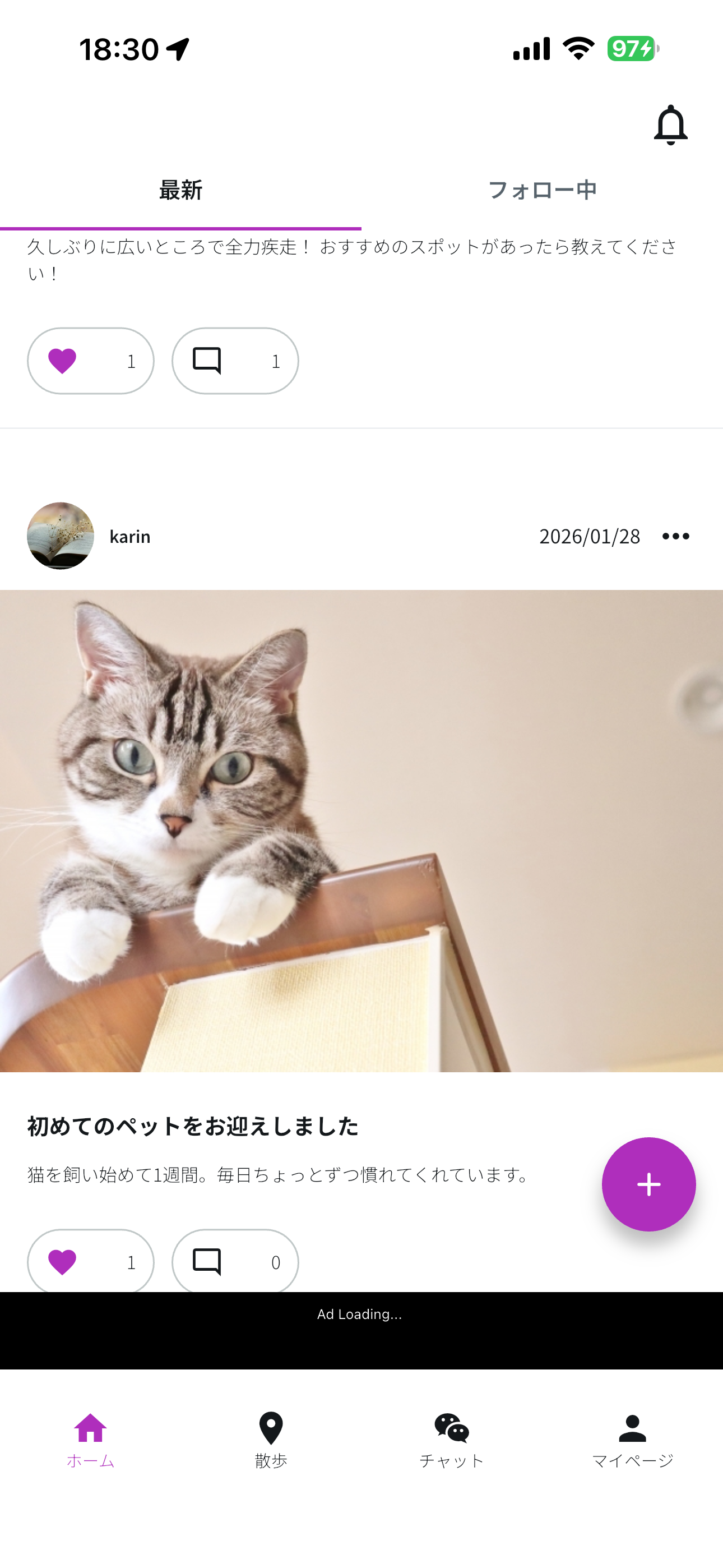 popi screenshot 3