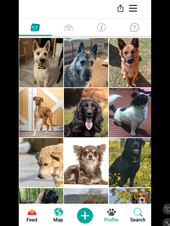 Screenshot #5 pour DogPack : Parcs pour chiens