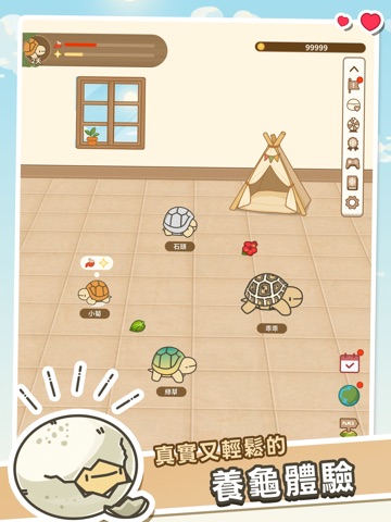 口袋陸龜 iPad screenshot